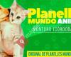 Planelles Mundo Animal