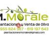 Plantaciones y Venta de Olivos M. Morales