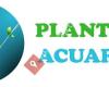 Plantas Acuario