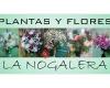 Plantas y Flores La Nogalera