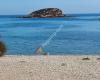 Playa perros