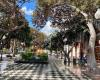 Plaza de las Ranas