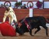 Plaza de toros de El Bibio