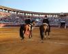 Plaza de Toros Lucena Tauroemoción