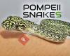 Pompeii Snakes