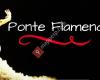 Ponte Flamenca