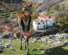 Posada del Perchel, Albergue y Casa Rural