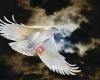 Producciones Aguila Blanca