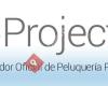 Project In