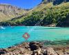 Property Scouts Mallorca