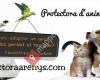 Protectora d'Animals d'Arenys