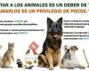 Protectora de animales ARCA, Jaén