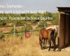 ProtectorA DE Caballos ADE