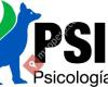 Psicodiagnóstico e intervención clínica y educativa canina.Psicólogo Canino