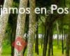 PSOE El Puerto de Santa María