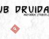 Pub Druida