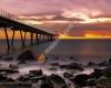Puente del Petróleo