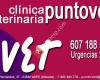 Puntovet Clínica Veterinaria