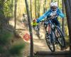 Pure Riding  BikePark & trips