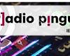 Radio Pinguela