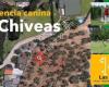 Residencia canina La chiveas