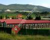 Residencia Canina Nanclares