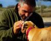 Residencia y Escuela Canina para protectoras y particulares, Pico Chaparral