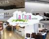 Restaurante La Cepa Montillana
