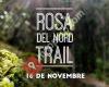 Rosa del Nord
