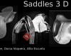 Saddles 3 D