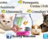 Scooby Mascotes