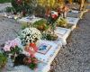 SEDE SOCIAL SENA(crematorio-cementerio animales) -INSTALACIONES EN MONSERRAT (VALENCIA)
