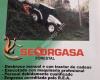 Seforgasa forestal