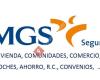 Seguros MGS VEJER