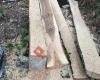 Servicios de Serreria y trabajos forestales