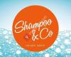 Shampoo & Co