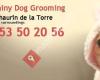 Shiny Dog Grooming