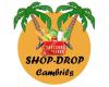 shopdropcambrils.com