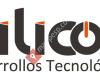 Silicon Desarrollos Tecnológicos Lalin