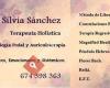 Silvia Sánchez, Terapias, Cursos y talleres