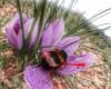 Slowfood Ribagorza