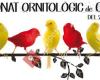 Sociedad Ornitológica Amics Vendrell