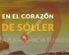 Soller Tours