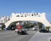 Starlet Marbella S. L.
