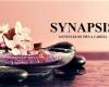 Synapsis2000valls