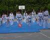 Taekwondo Olímpic Els Secallets