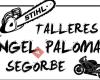 Talleres Ángel Palomar