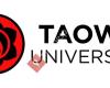 TAOWS Academy International