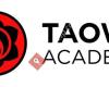 TAOWS Academy Pamplona I