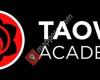 TAOWS Academy Toledo